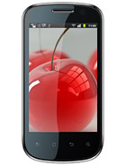 Best available price of Celkon A19 in Kuwait
