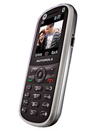 Best available price of Motorola WX288 in Kuwait