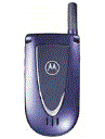Best available price of Motorola V66i in Kuwait